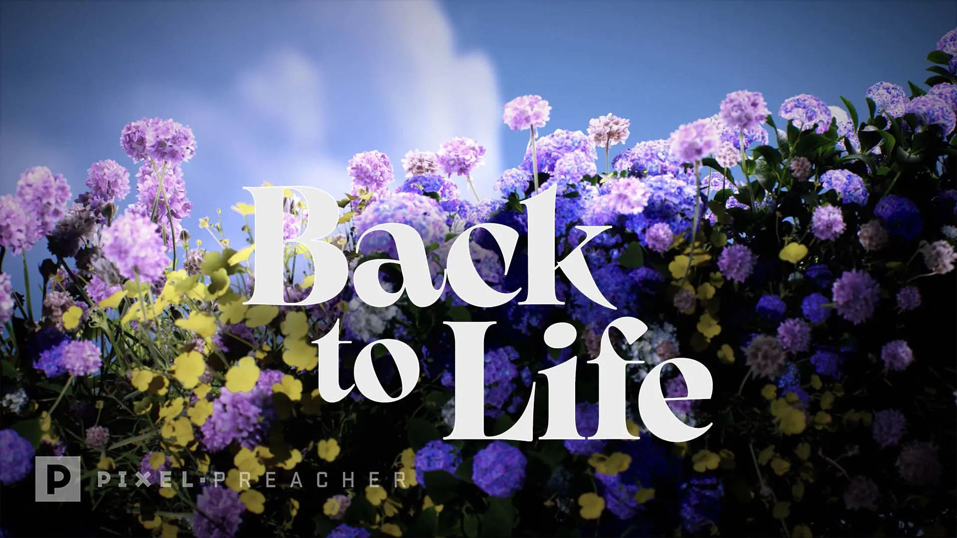 Back to Life – Easter